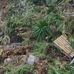 Land Clearing, Shredding & Mulching: Davis Earthmoving & Quarrying